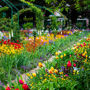 Giardino di Monet a Giverny - Tour Guidato di Mezza Giornata da Parigi