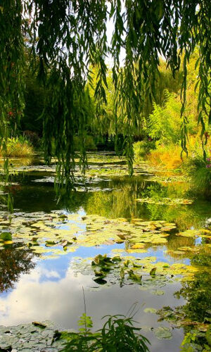 Giverny: Impressionist Day Trip from Paris with Audio Guide