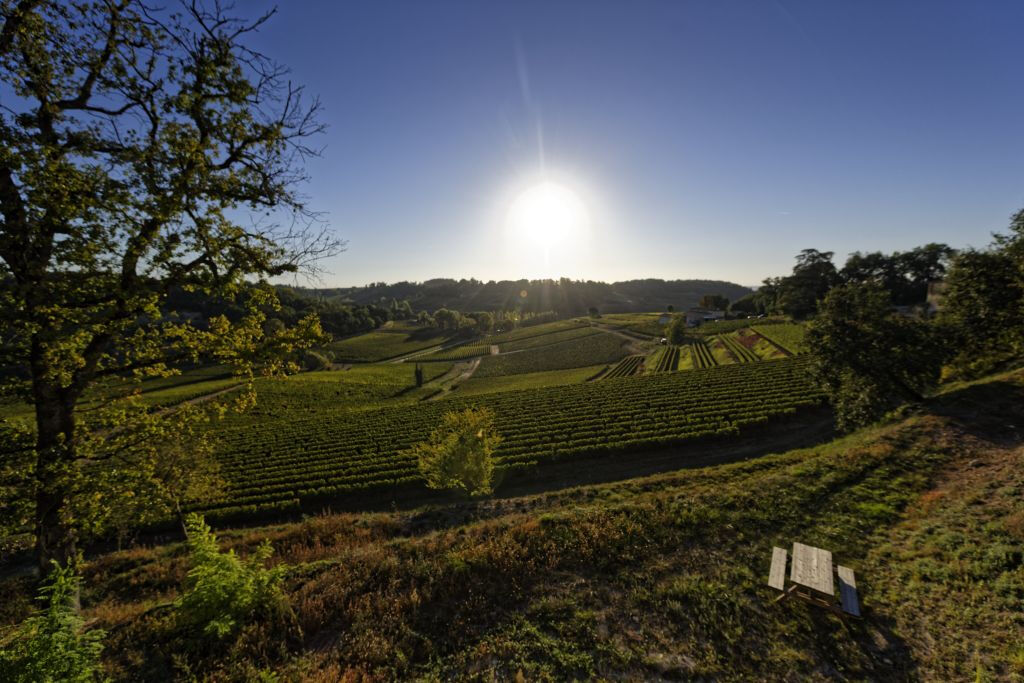 Château La Croizille: Guided Tour + Wine Tasting