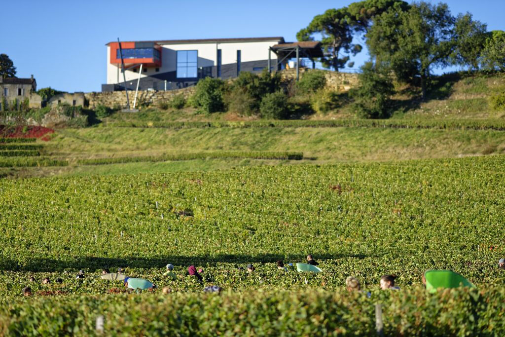 Château La Croizille: Guided Tour + Wine Tasting