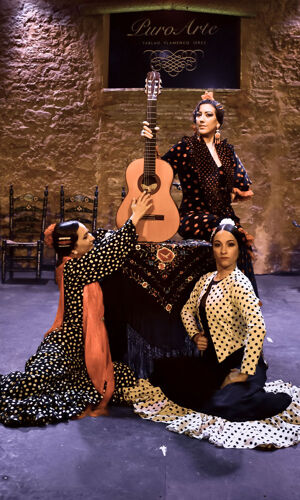 Tablao Flamenco Puro Arte - Jerez de la Frontera