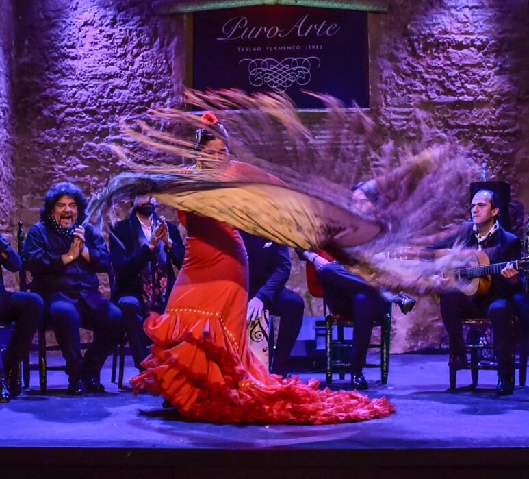 Tablao Flamenco Puro Arte - Jerez de la Frontera