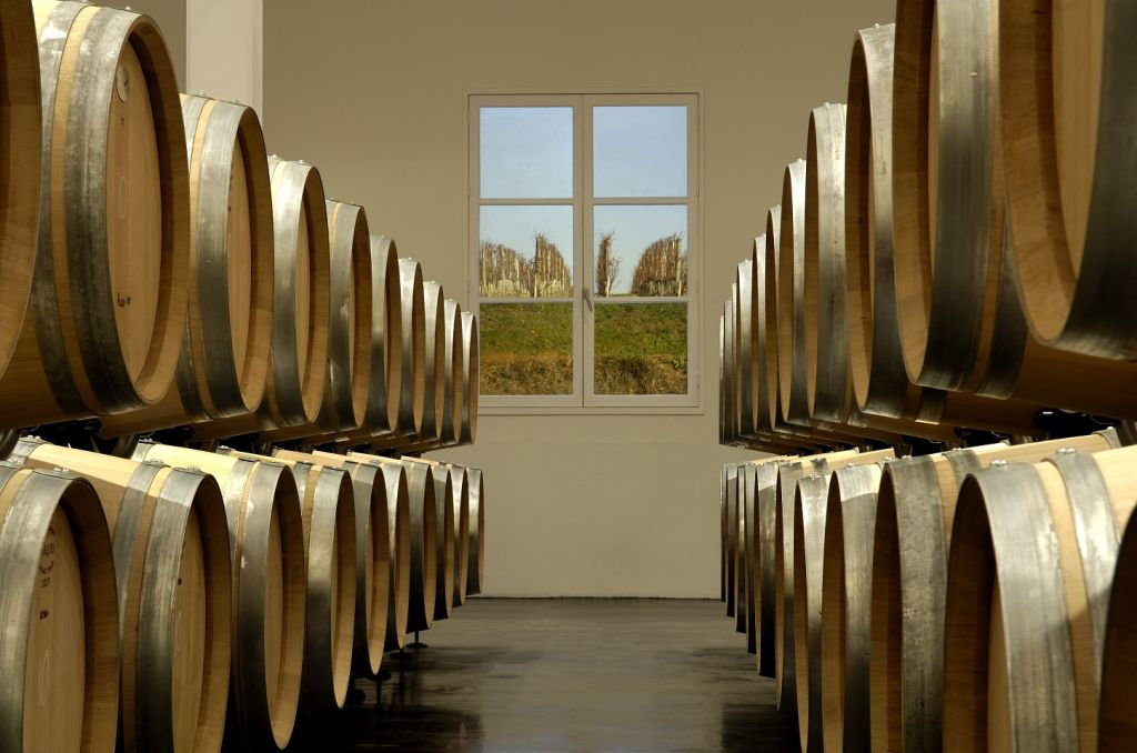 Médoc: Tour dei Vini di un'Intera Giornata da Bordeaux