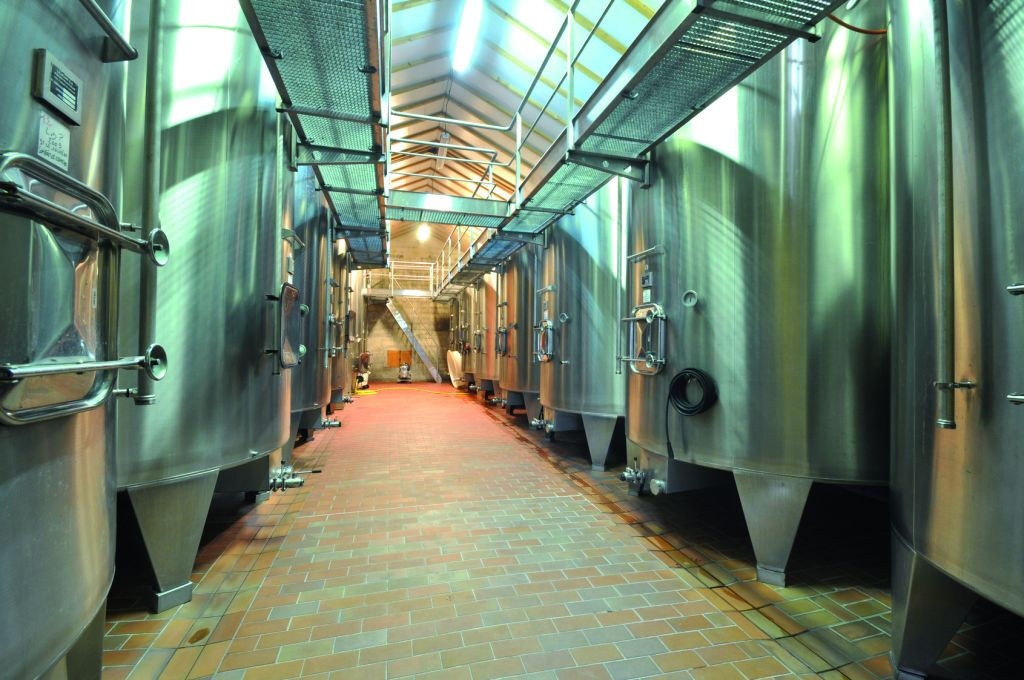 Médoc: Tour dei Vini di un'Intera Giornata da Bordeaux