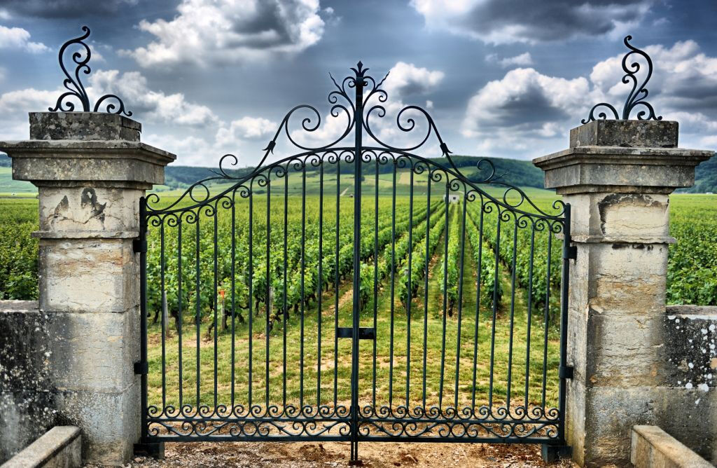 Saint-Émilion Village: Full-Day Wine Tour from Bordeaux
