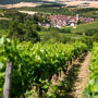 Burgundy: Wine Day Trip from Paris