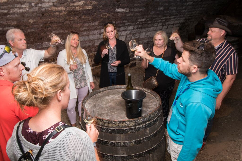 Borgonha: Viagem do Dia do Vinho de Paris
