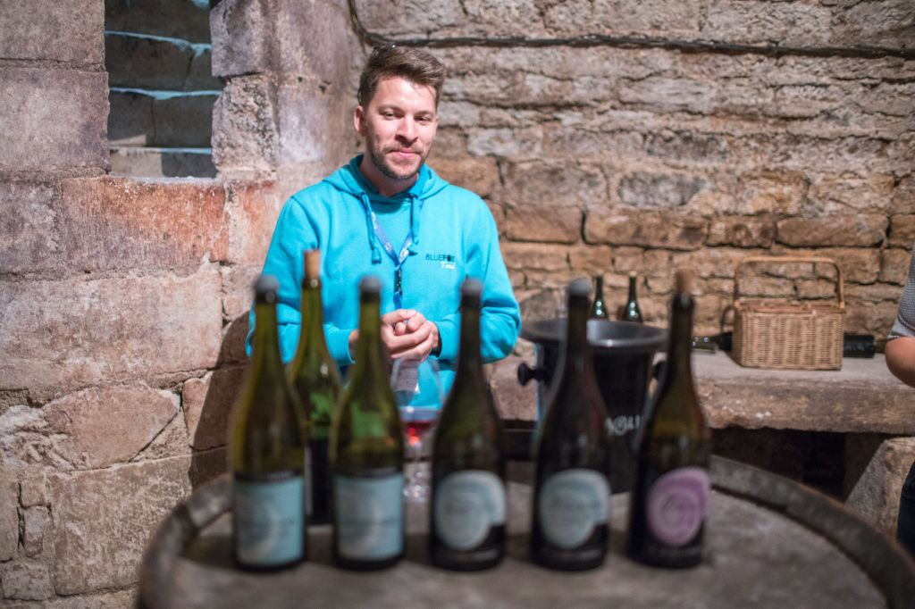 Borgonha: Viagem do Dia do Vinho de Paris