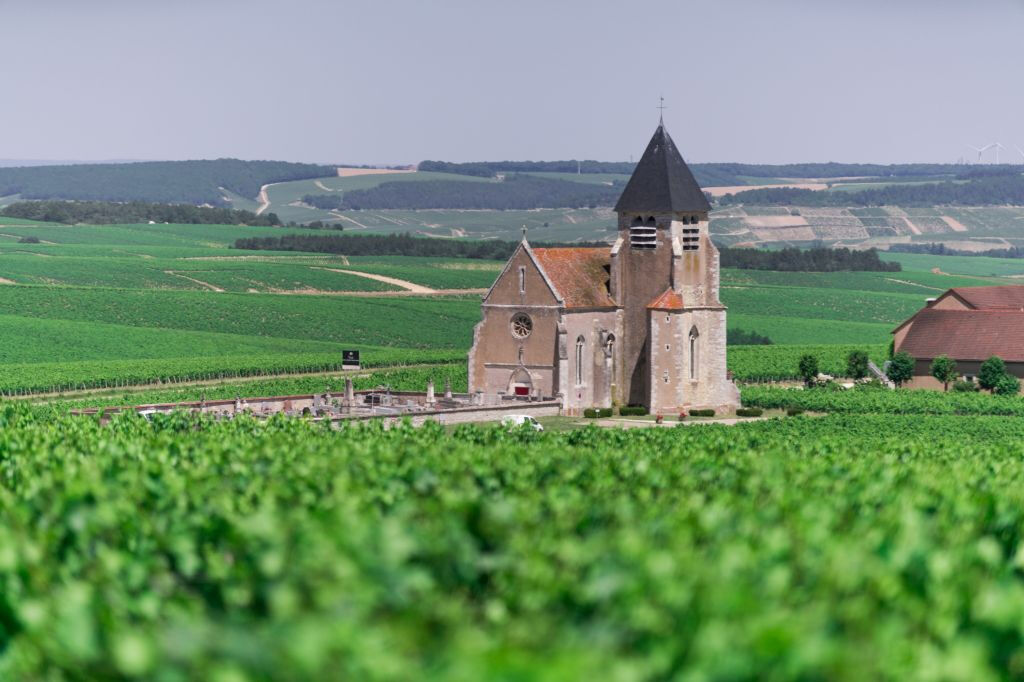 Borgonha: Viagem do Dia do Vinho de Paris