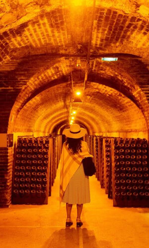 Champagne Day Trip with Tastings + Lunch from Paris