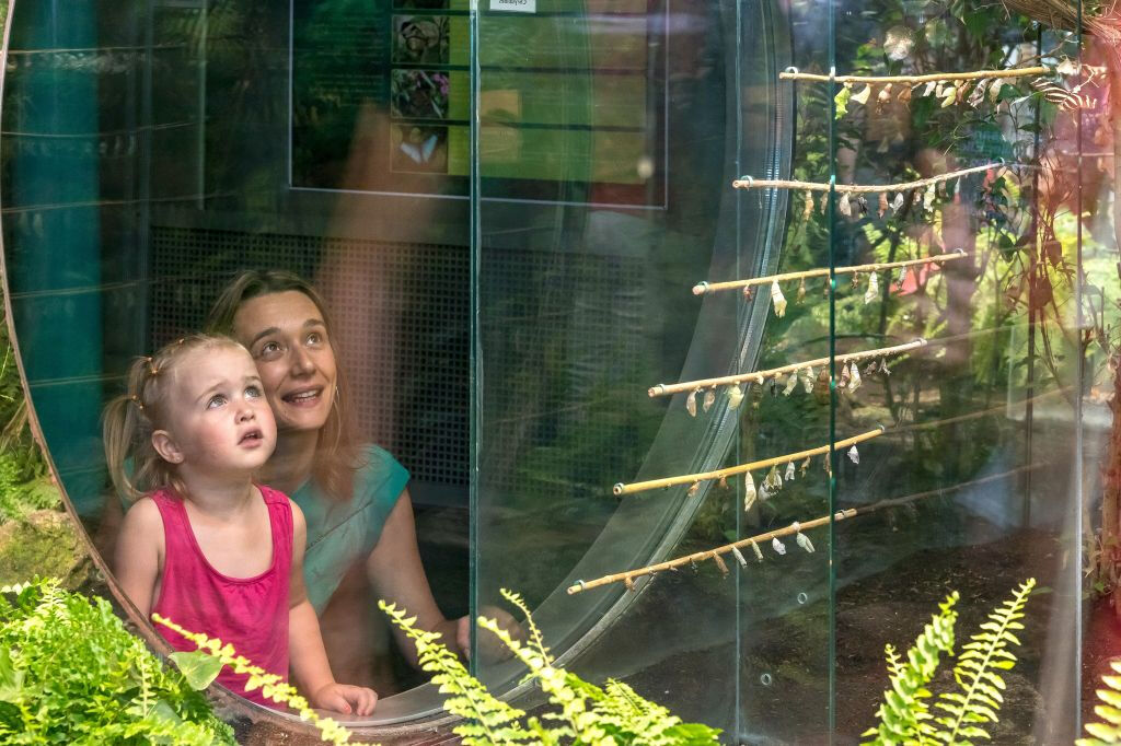 Micropolis - La cité des insectes