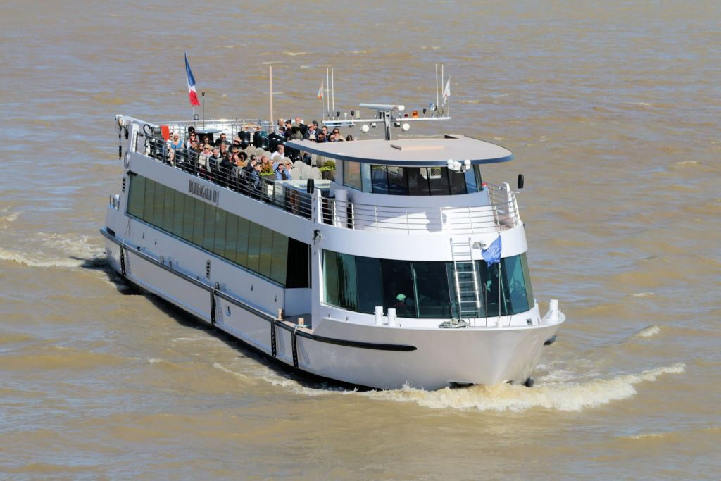 Bordeaux: Cruzeiro guiado no Garonne + 1h no cais