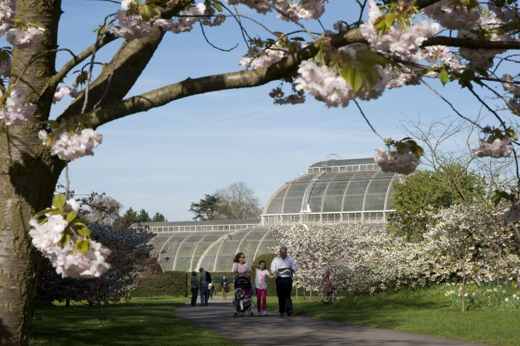 Real Jardín Botánico de Kew: Entrada