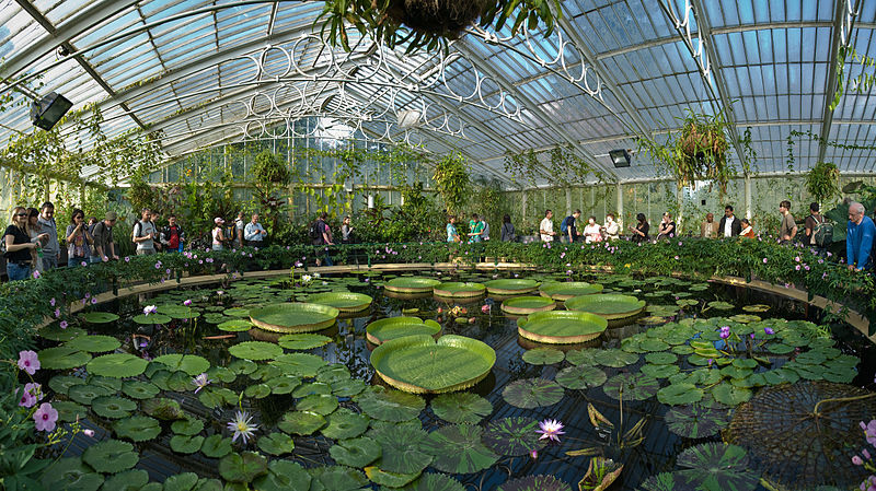 Jardins de Kew: Bilhete de entrada