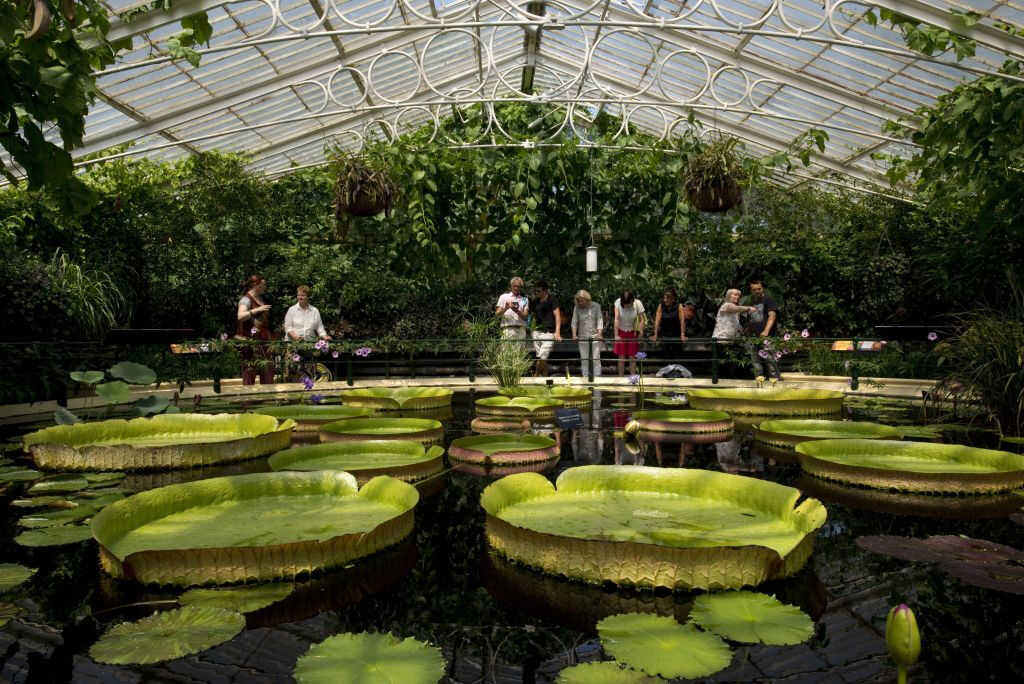 Real Jardín Botánico de Kew: Entrada