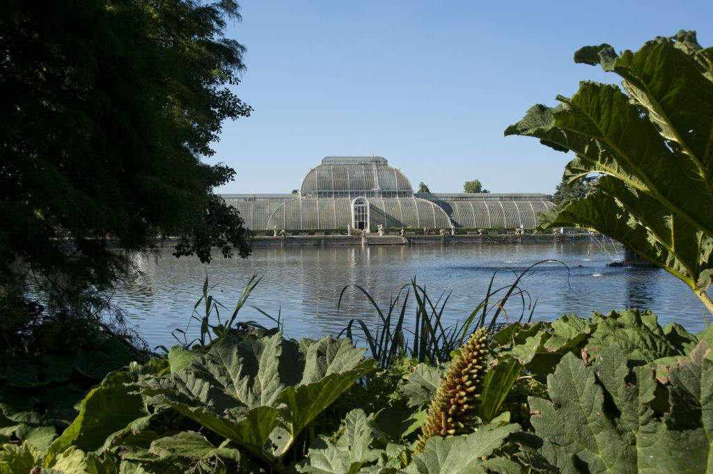 Jardins de Kew: Bilhete de entrada