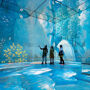 Frameless Immersive Art Experience: Entry Ticket