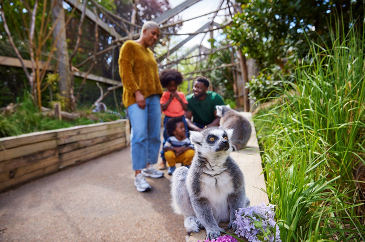 Zoo di Londra: Biglietto d'ingresso