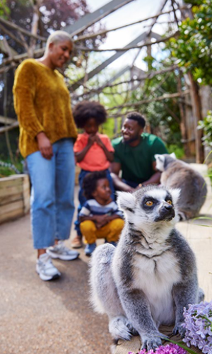 London Zoo: Entry Ticket