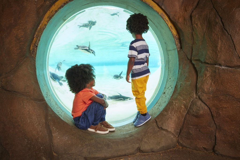 London Zoo: Entry Ticket