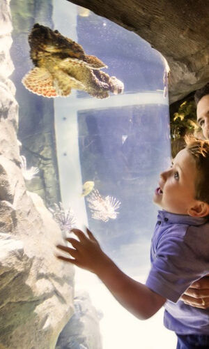 Exploris Aquarium: Entry Ticket