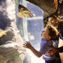 Exploris Aquarium: Entrada