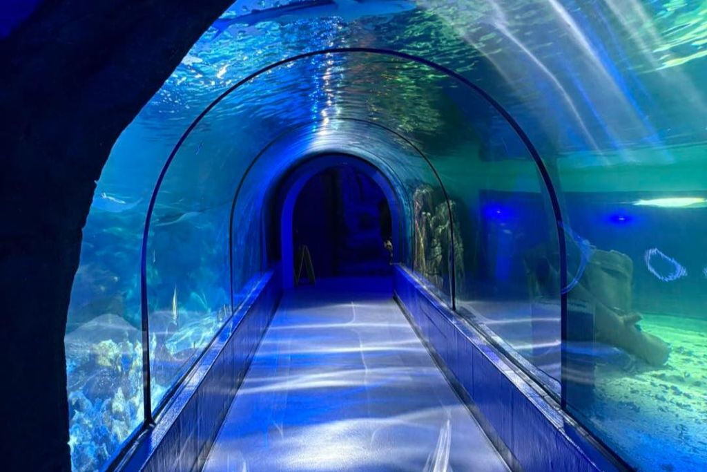 Exploris Aquarium: Entry Ticket