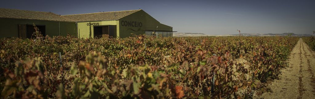 Concejo Bodegas