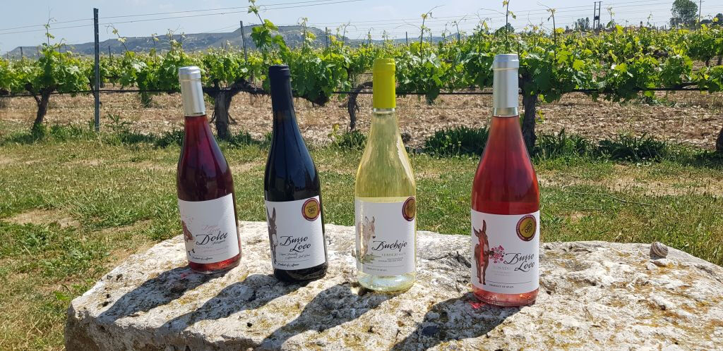 Concejo Bodegas