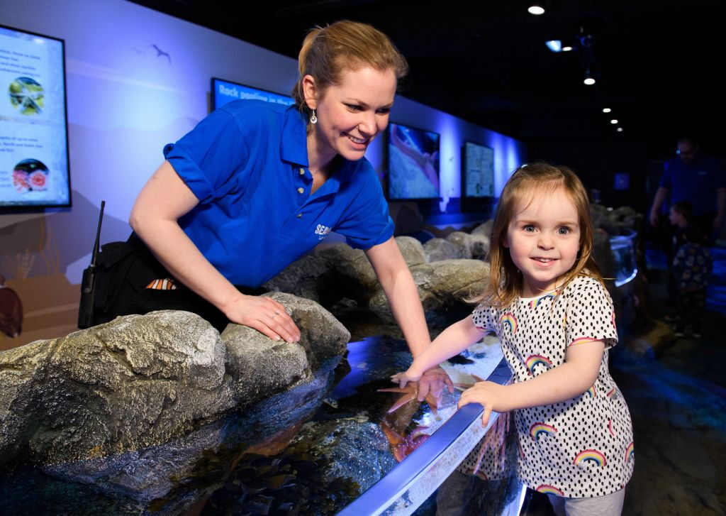 SEA LIFE London: Entrada