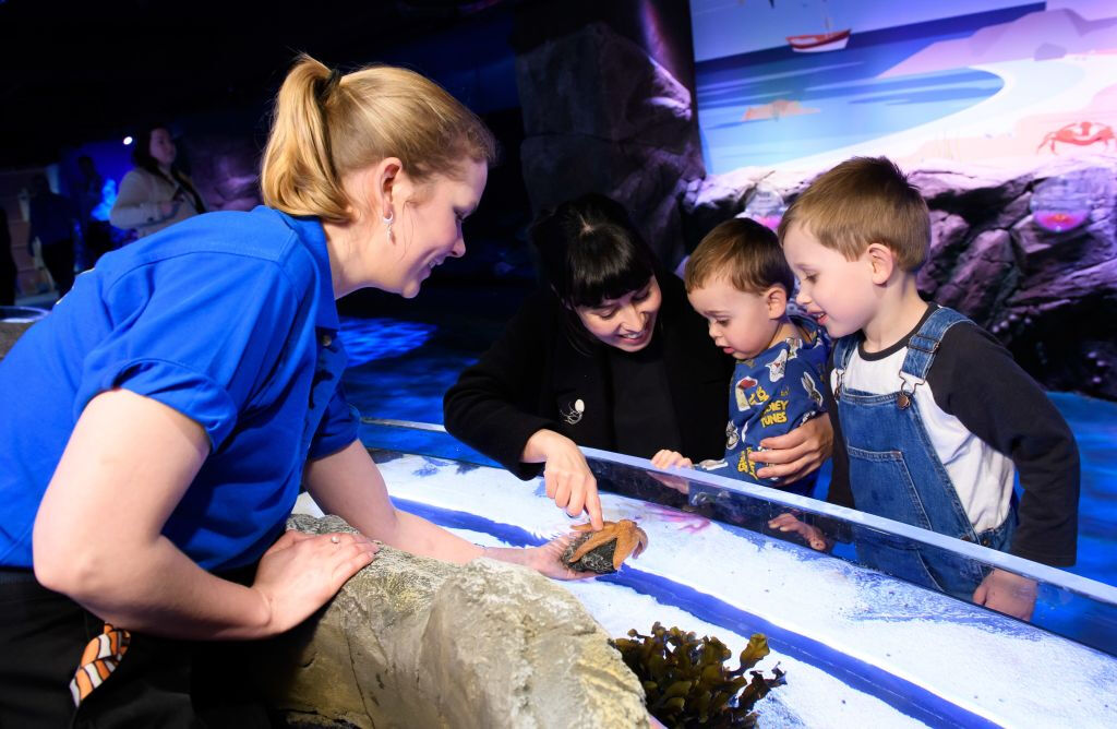 SEA LIFE London: Billet d'entrée