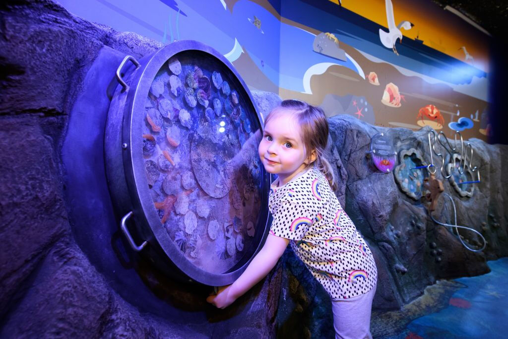 SEA LIFE London: Entrada