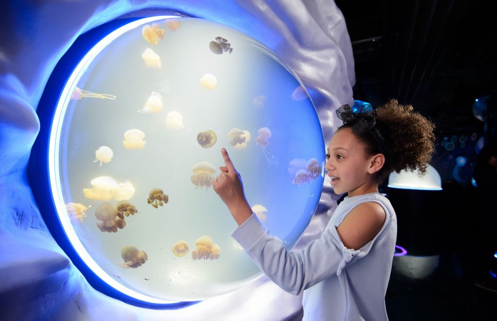 SEA LIFE London: Entrada