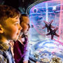 SEA LIFE Brighton: Entrada Estándar