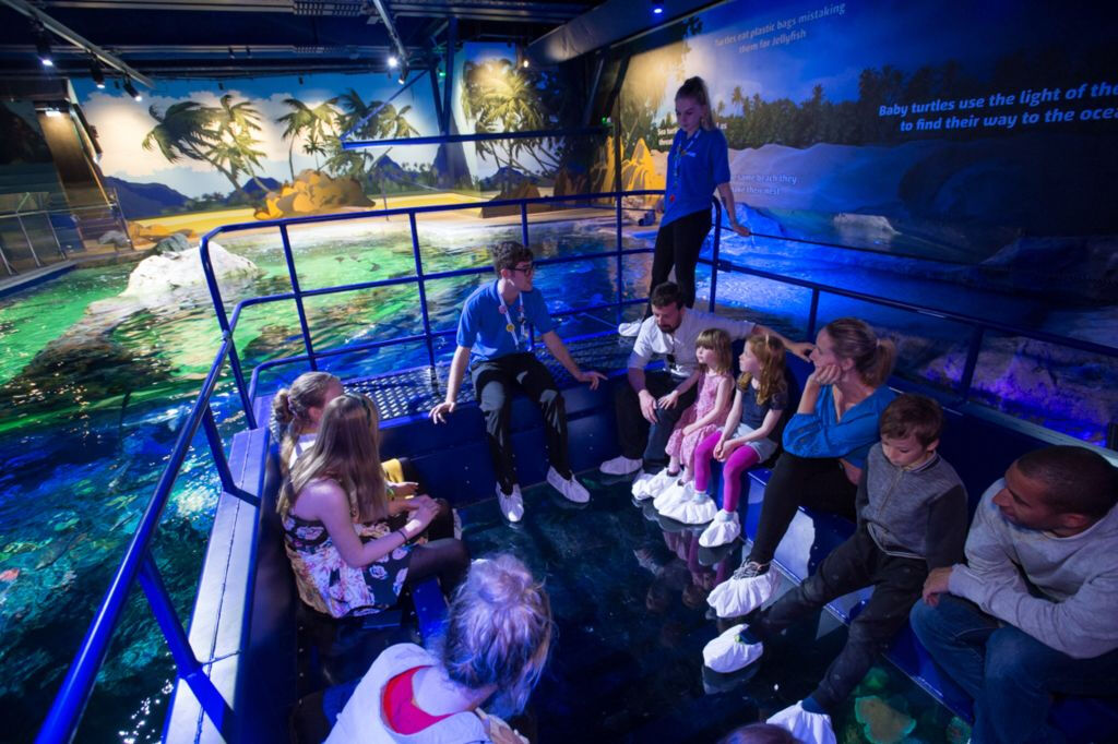 SEA LIFE Brighton: Standard Ticket
