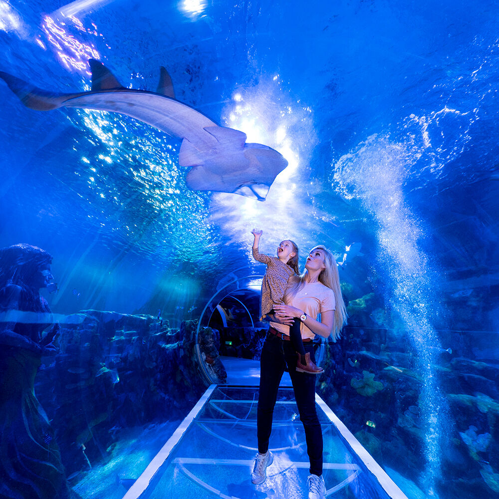 SEA LIFE Birmingham: Billet d'entrée