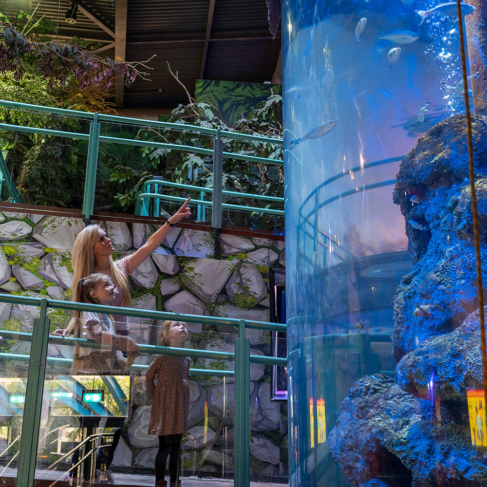 SEA LIFE Birmingham: Billet d'entrée