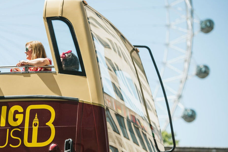 Go City London Explorer Pass : 2 à 7 attractions en 60 jours