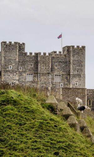 Dover Castle: Entry Ticket