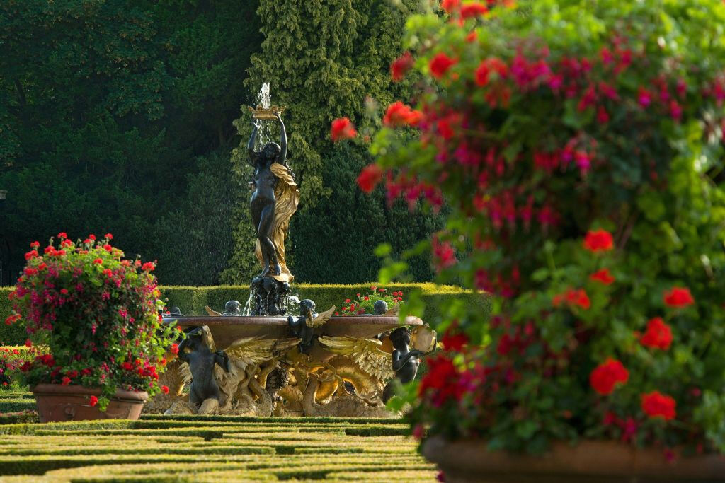 Blenheim Palace: Entry Ticket