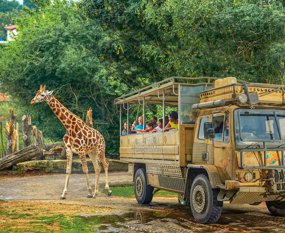 Chessington World of Adventures: Entrada