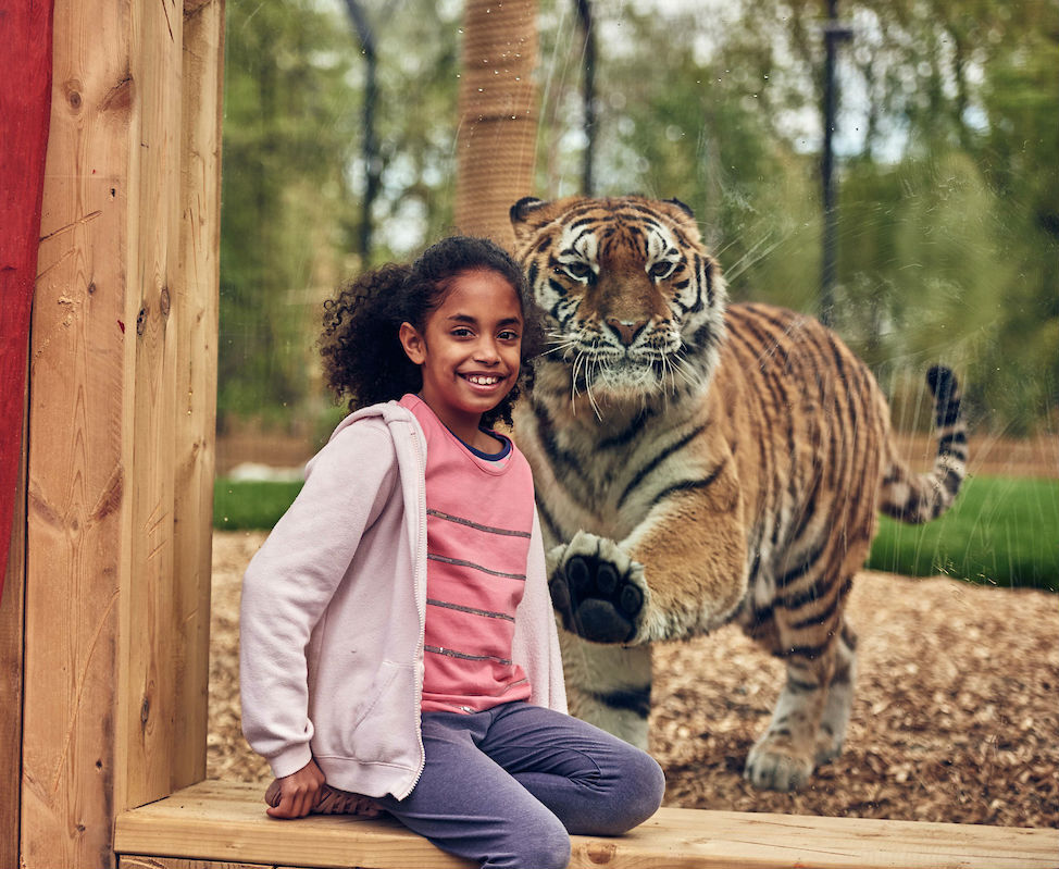 Chessington World of Adventures: Entrada