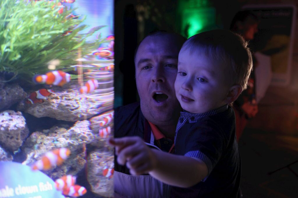 SEA LIFE Blackpool: Entry Ticket