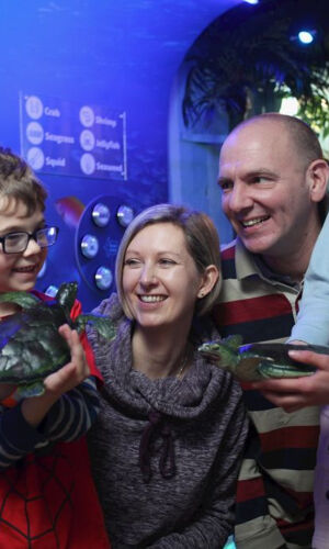 SEA LIFE Blackpool: Entry Ticket
