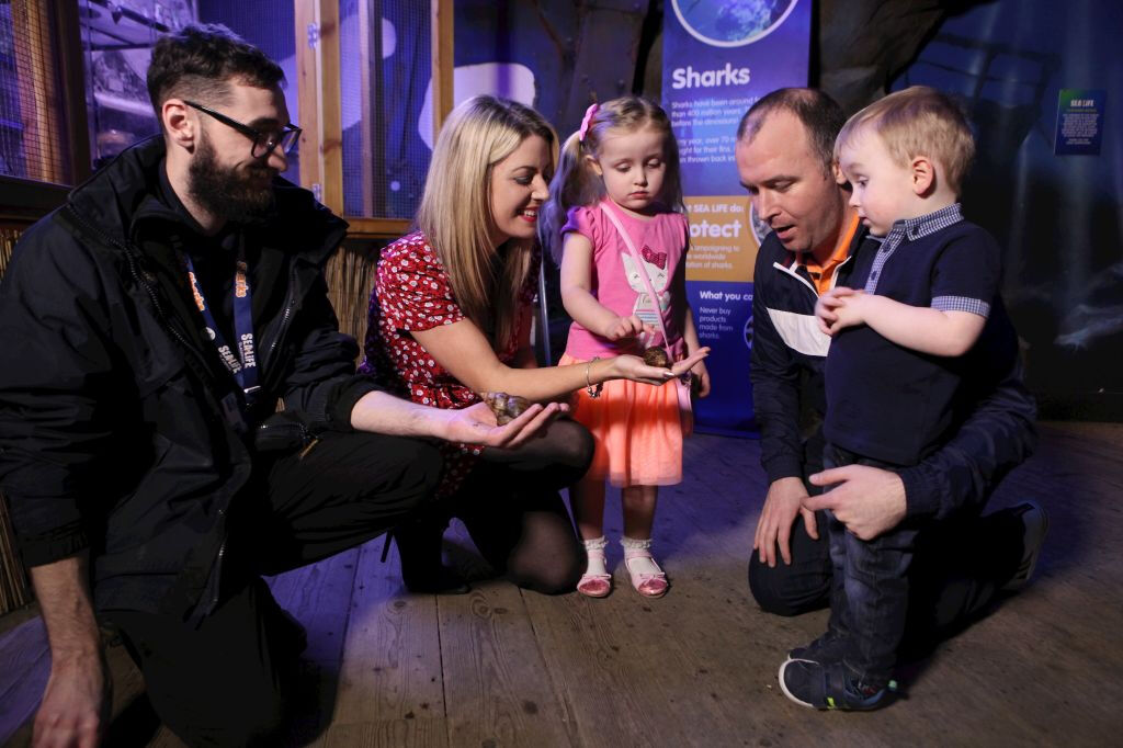SEA LIFE Blackpool: Entry Ticket