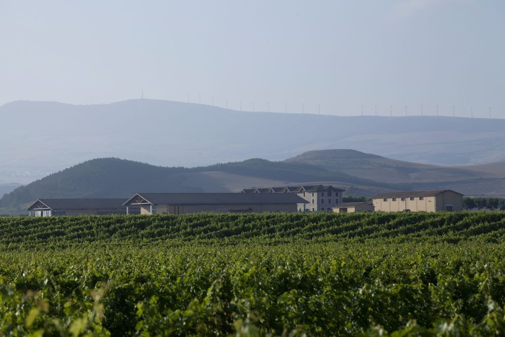 Bodega Otazu 