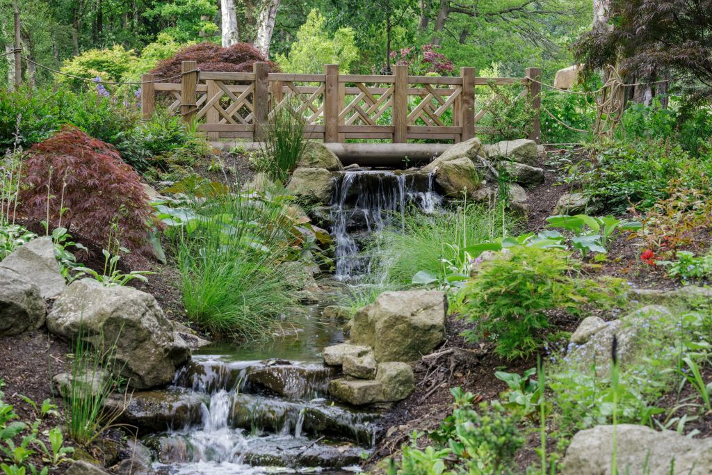 RHS Garden Bridgewater: Entry Ticket