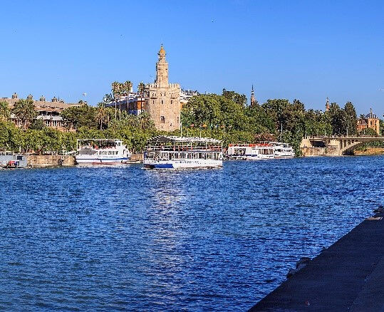 Cruceros Torre del Oro