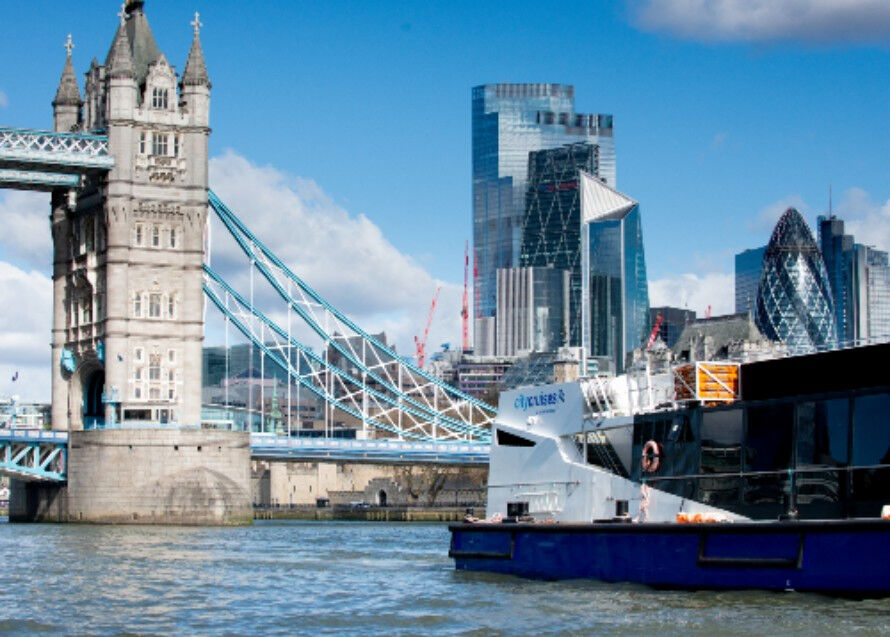 Londres: Crucero turístico de 24 horas