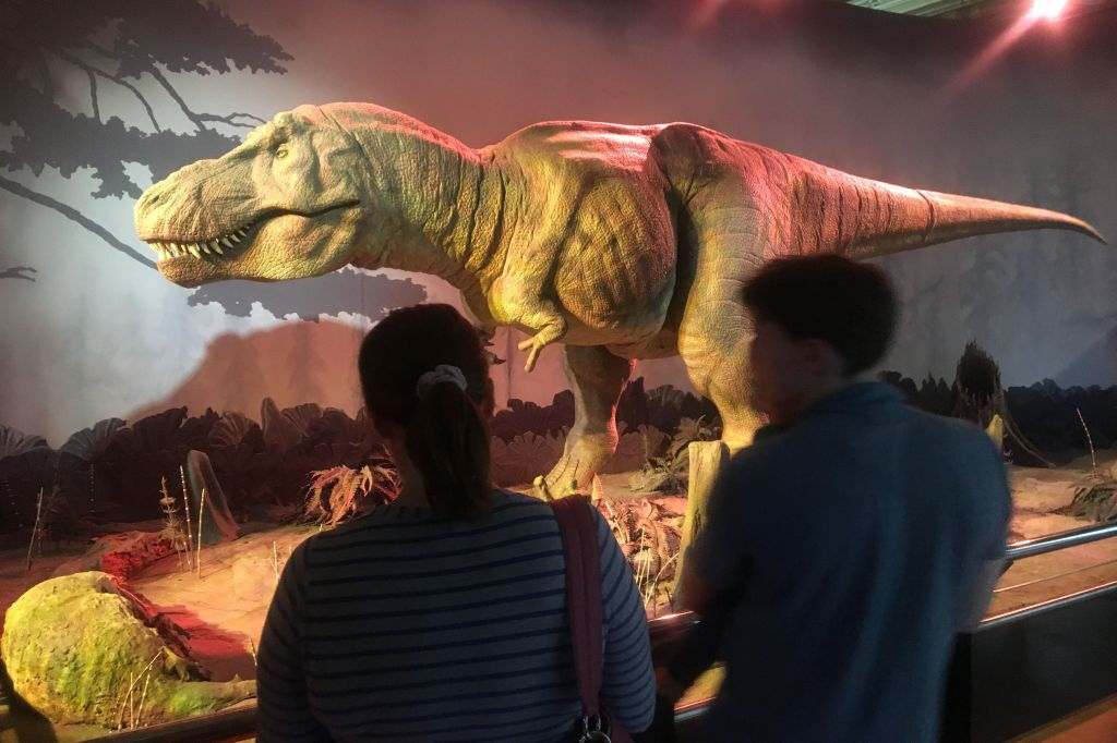 Musée d'histoire naturelle: Visite guidée